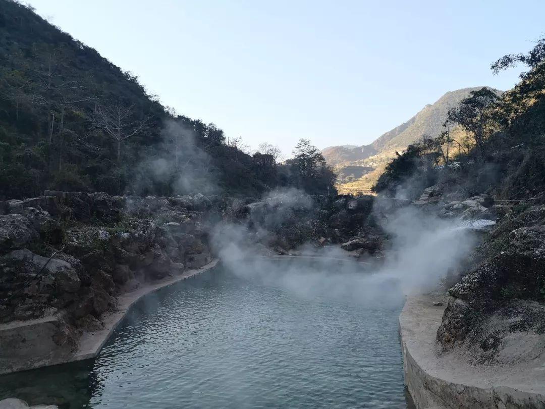 救援受困的长颈鹿